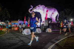 BIB: 
                            <button type="button" onclick="openModal(26552002)" class="btn btn-primary btn-sm float-right btn-popup" data-toggle="modal" data-target=".modal-high-quality">
                        <i class="fas fa-shopping-cart"></i> Add to Cart
                    </button>
                                            <button type="button" onclick="isThisMe(26552002, true)" class="btn btn-success btn-sm float-right btn-popup btn-isme hidden" data-toggle="tooltip" data-placement="bottom" title="นี่คือรูปของคุณใช่ไหม คลิกที่นี่เพื่อเอาเข้าอัลบั้ม">
                        <i class="fas fa-plus"></i> Add to album
                    </button>
                    <button type="button" onclick="isThisMe(26552002, false)" class="btn btn-warning btn-sm float-right btn-popup btn-isnotme hidden">
                        <i class="fas fa-ban"></i> Remove from album
                    </button>